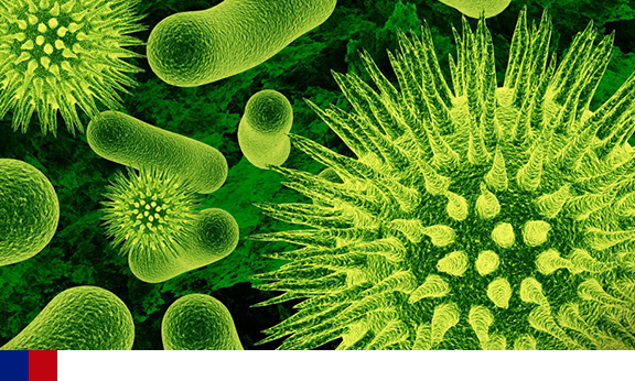 Organização mundial de saúde convoca guerra contra superbactérias